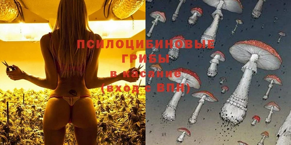 МДПВ Алексеевка