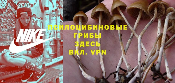 каннабис Алзамай