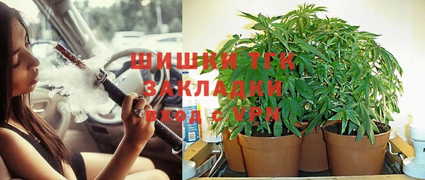 каннабис Алзамай
