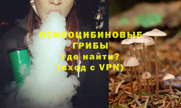 тгк Алексин