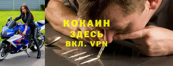 тгк Алексин