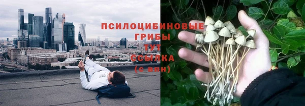 крисы Россошь